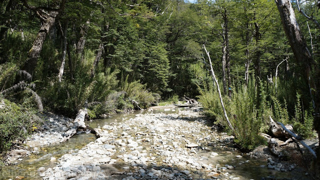 arroyo Ujenco, trekking cerro bayo villa Traful, La angostura