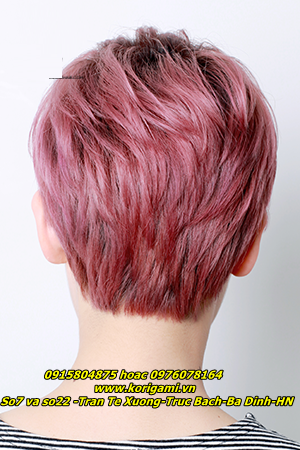 toc-tem-pixie-tomboy-2018-mau-hong-phan-ash-pink-dep-nhat toc-tem-pixie-tomboy-2018-mau-hong-phan-ash-pink-dep-nhat