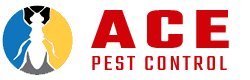 CLEAR OUT ANTS WITH COMMERCIAL PEST CONTROL SERVICE 