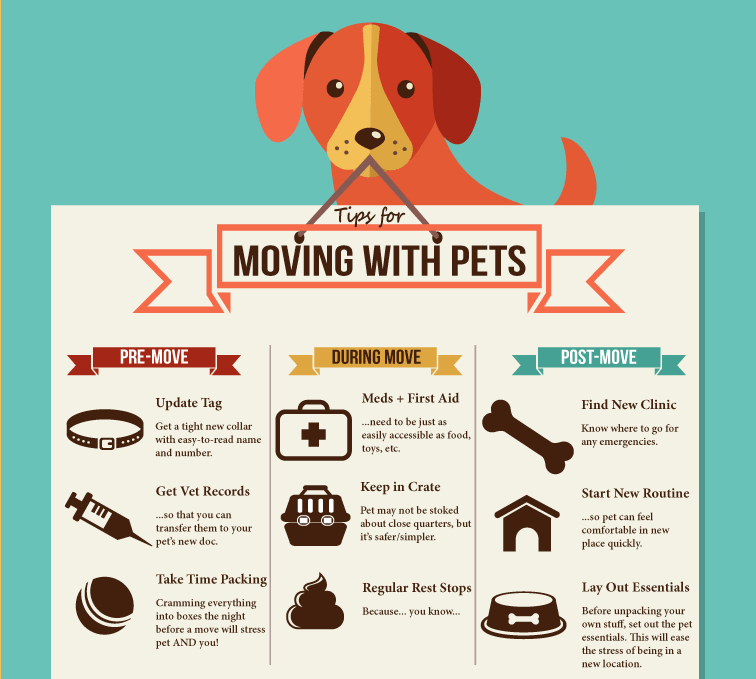Tips for Moving with Pets