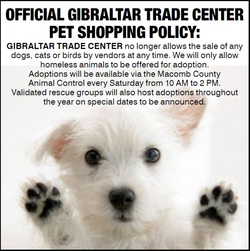 I'm Kind Of A Big Deal The Oakland Mall, Twelve Oaks Mall and Genesee