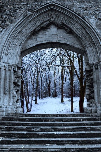 winter wonderland wedding arches