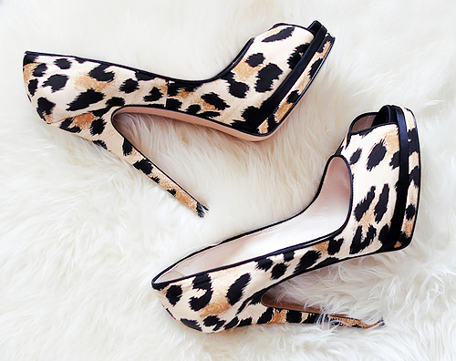 Ideas de zapatos de moda para una fiesta Ideas de zapatos de moda para una fiesta