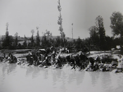 0.-P1000909.JPG
