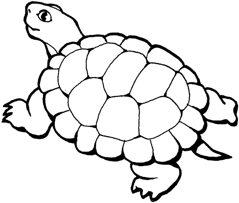 Printable Jungle Animal Coloring Pages Coloring Pages For Free Printable Jungle Animal Coloring Pages Coloring Pages For Free