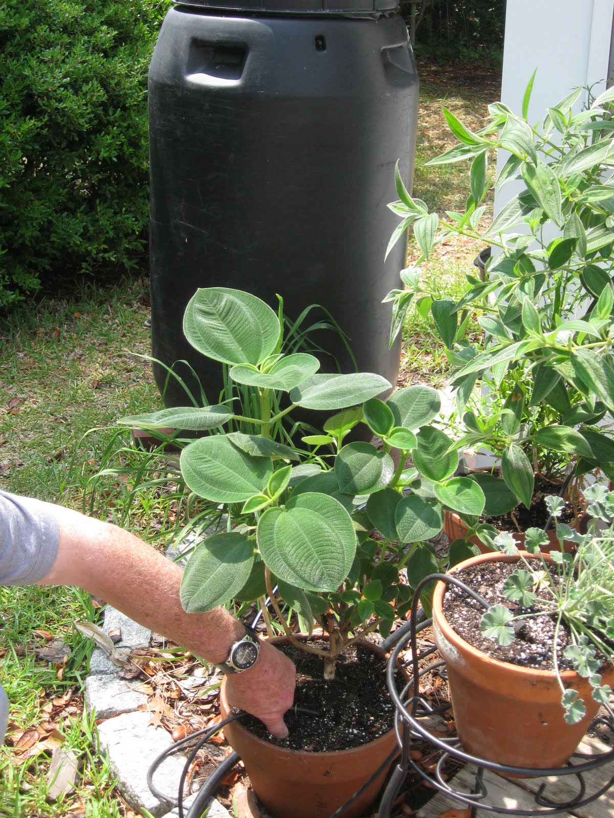 Gardening From the Ground Up Jun 16, 2011
