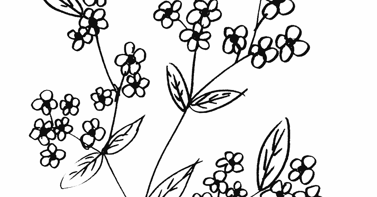 Bunga Mungil Mudah Sederhana - Contoh Gambar Mewarnai