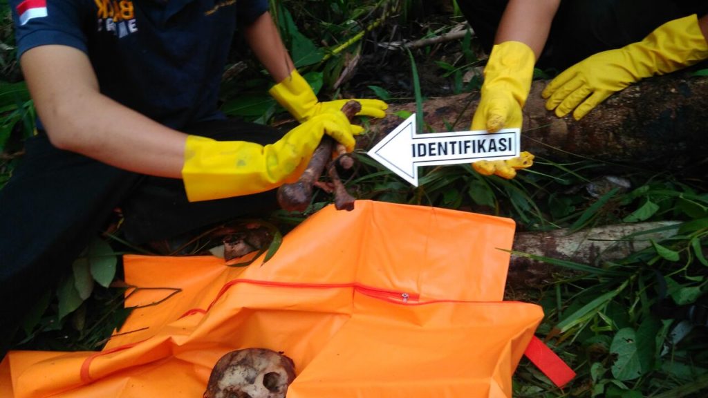 Ini Hasil Identifikasi Sat Reskrim Polres Sekadau Tengkorak Ditemukan di Engkersik