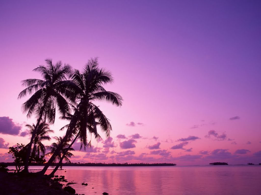 Violin alien vejkryds Natural Background Wallpapers: Beauty Purple Beach Natural Background  Wallpapers