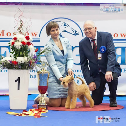 Judging at greatest Show in Russia