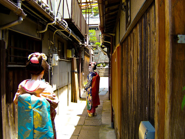 2007,  Kyoto,  Japan,  Geisha, travel