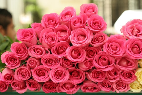 صور ورود جميلة