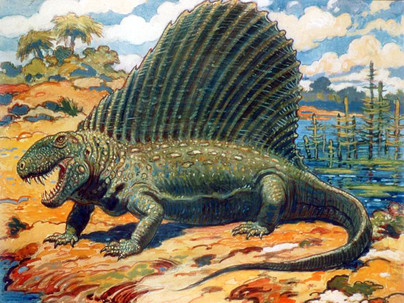 Земли ящеров. Пермский период Диметродон. Дометрофодон динозавр. Диметродон это рептилия.