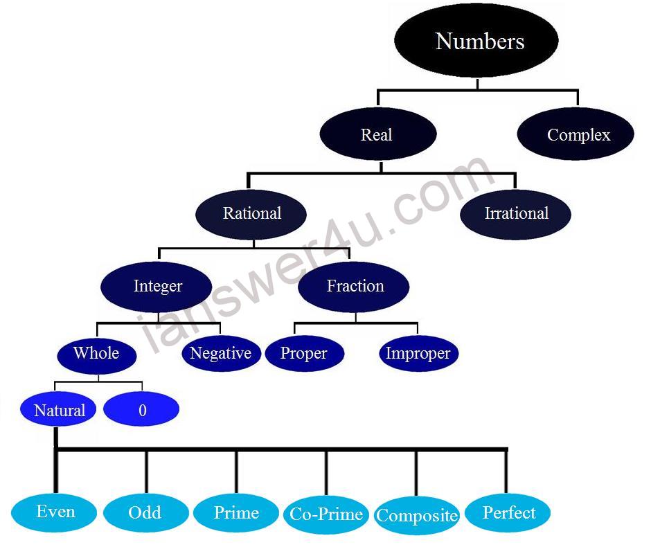 numbers-and-their-types-in-mathematics-i-answer-4-u