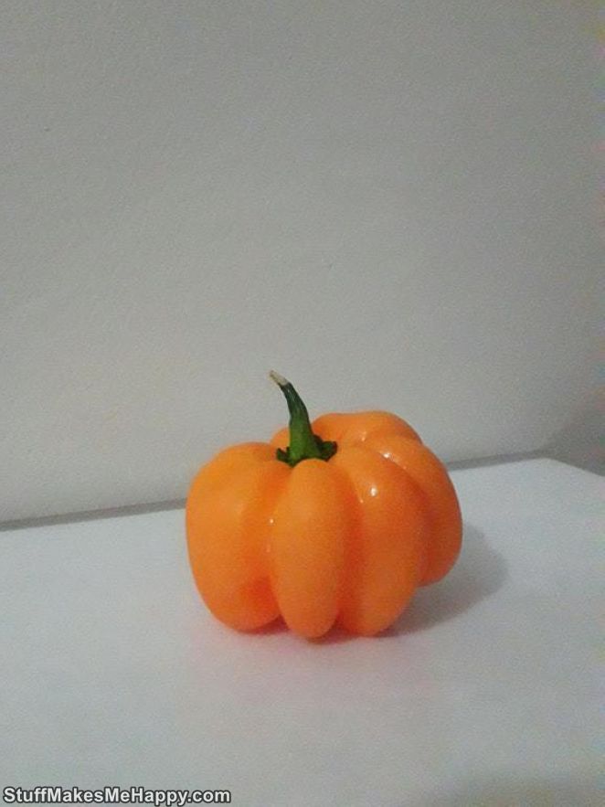 12. You thought I was a pumpkin. But no, I got caught, I'm a pepper!