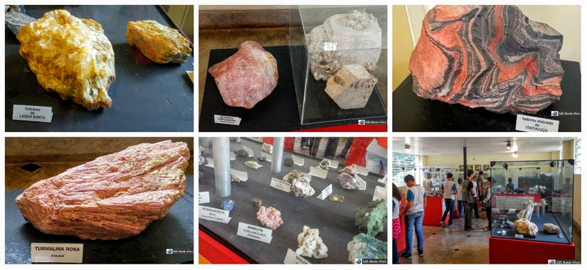 Museu de Histórias Naturais da UFMG - Belo Horizonte Museu de Histórias Naturais da UFMG - Belo Horizonte