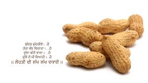 Free Lohri 2019 wishes messages greetings