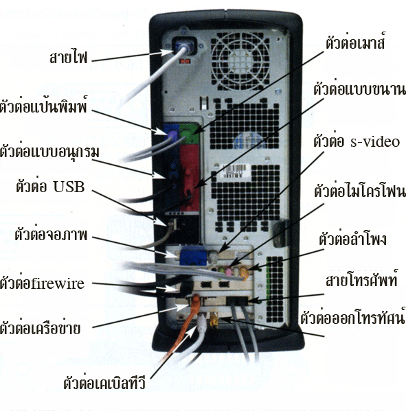 My Image 60