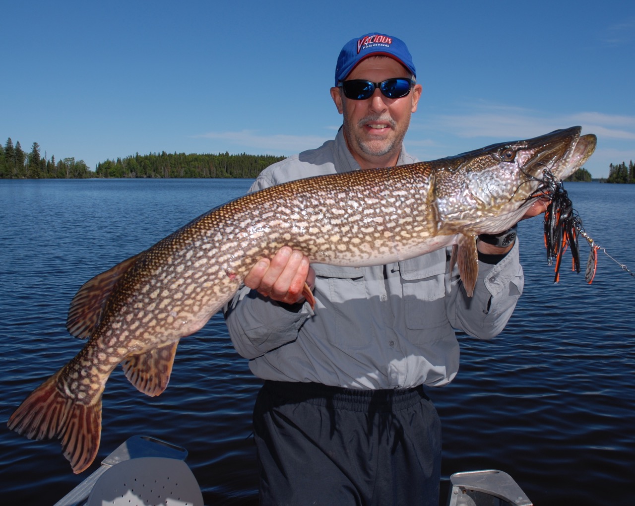 The "411 On Fishing" Understanding Pike & Musky Leaders