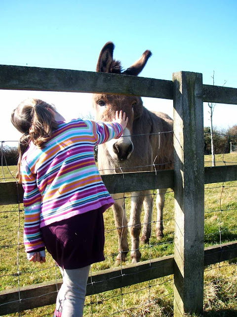 five active family days out in somerset court farm