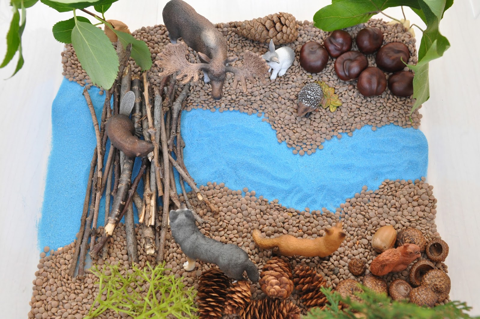 Creative Projects for Kids: Beaver Dam Sensory Bin