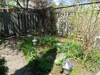 by Paul Jung Gardening Services a Toronto Gardening Company Riverdale Backyard Spring Garden Cleanup After by Paul Jung Gardening Services a Toronto Gardening Company Riverdale Backyard Spring Garden Cleanup After