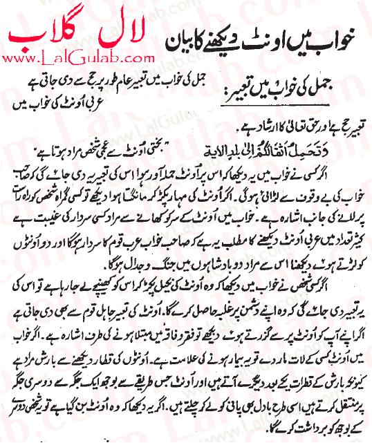 Khwab Mein Camel Dekhna Ki Tabeer Urdu Camel Ko Dekhne Ka Matlab Camel