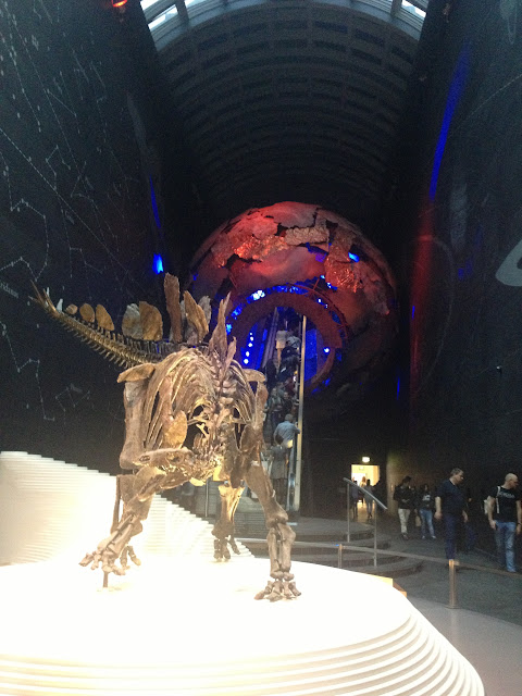 stegosaurus, Natural History Museum, London photo : journaljose.blogspot.com / petiteetgrandebretagnes.blogspot.com