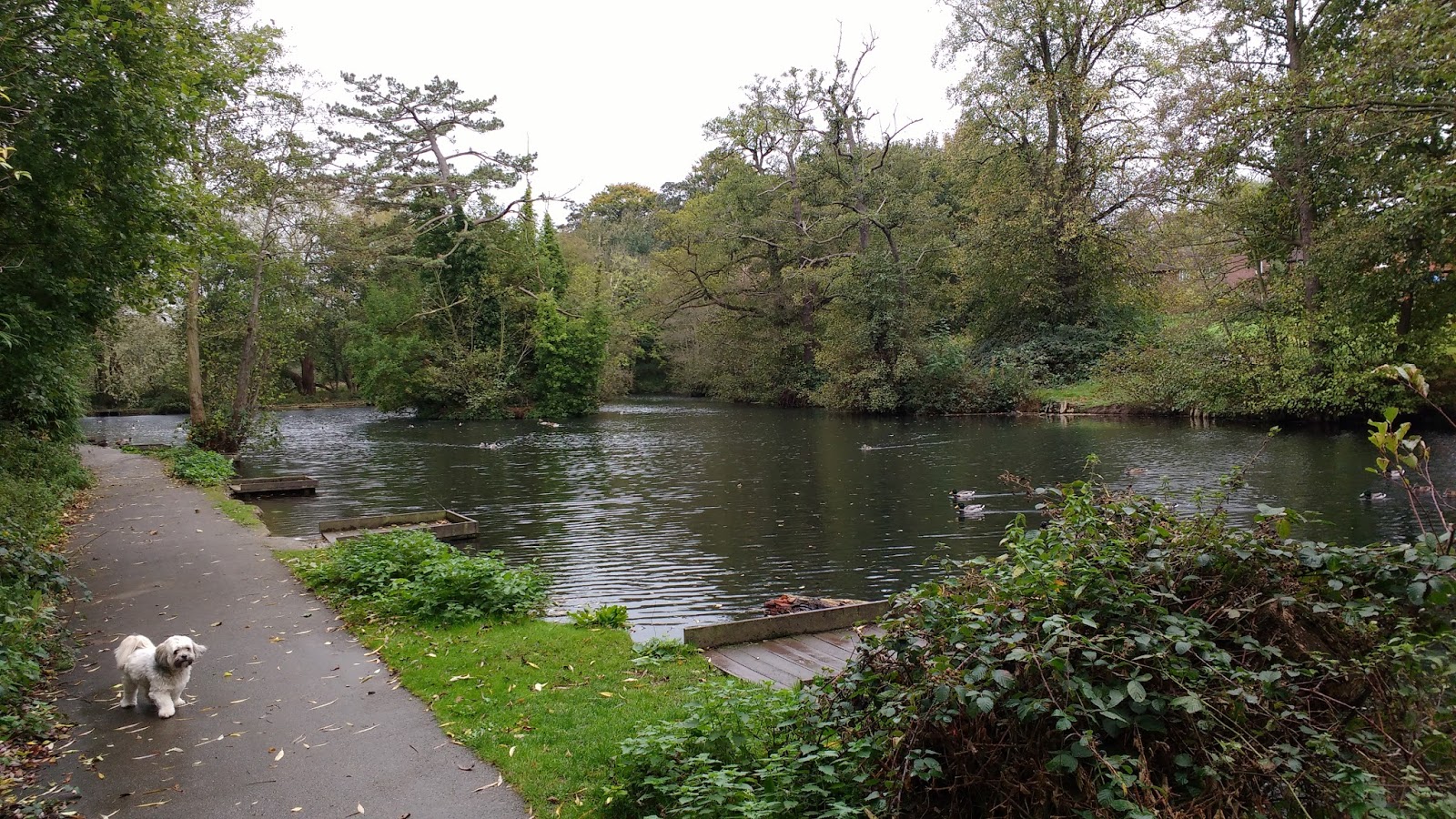 Wakefield Hidden In Plain Sight 5. KETTLETHORPE HALL & THE BOATHOUSE