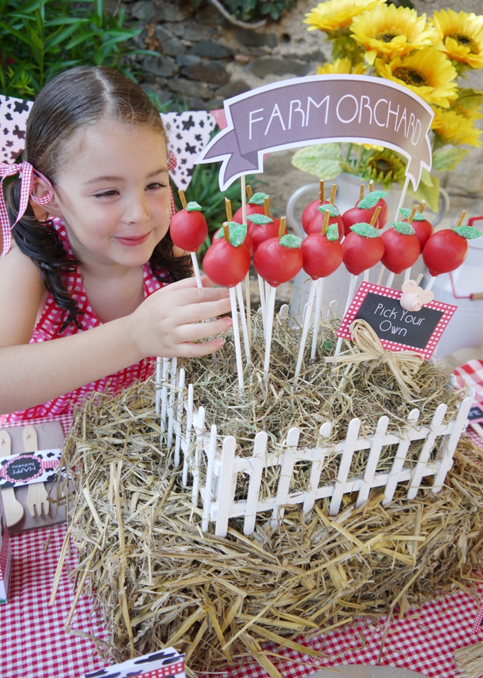 DIY Apple Cake Pops & Barnyard Birthday Centerpiece Party Ideas