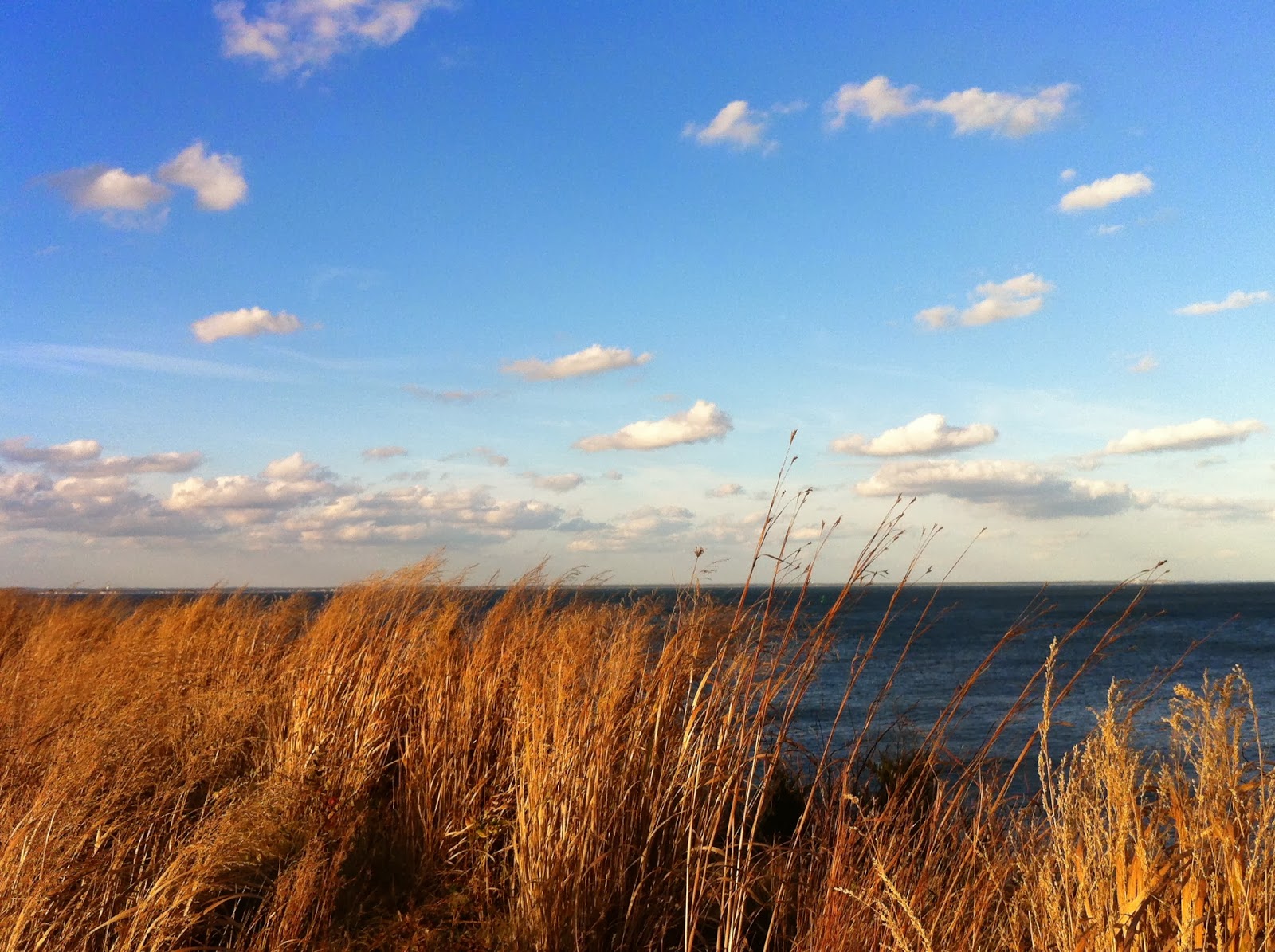 A New Dawn Year Two East Chop Estate Sale