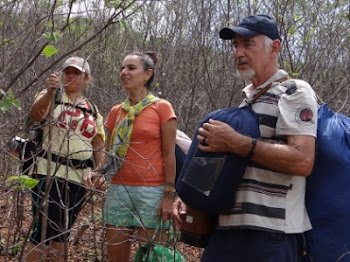 A caatinga, a secura no sertão