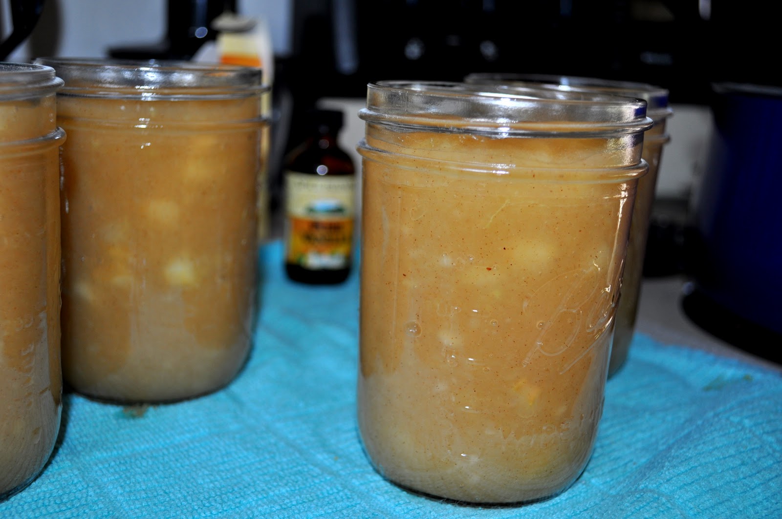A Pocket Full Of Buttons Homemade Chunky Applesauce {Canning}