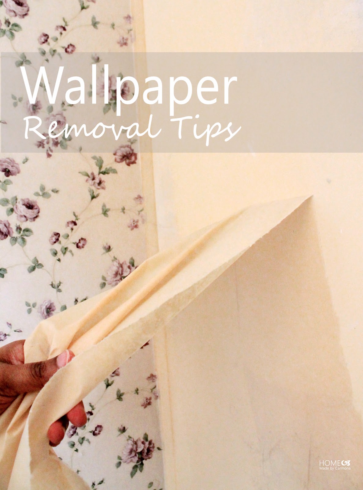 Scenery Wallpaper Wallpaper Removal Techniques