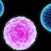 Tratamiento Israelí contra el Cáncer impresiona al mundo entero