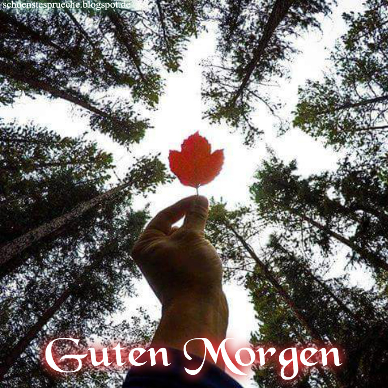 Sprüche Guten Morgen Sprüche Guten Morgen