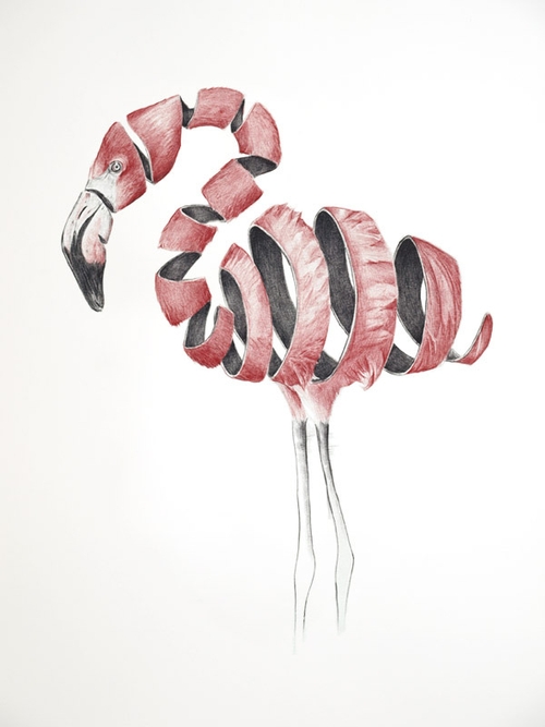 12-Flamingo-Jaume-Montserrat-Illustrations-of-Ribbon-Animals-in-Emptyland-www-designstack-co