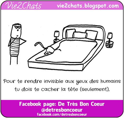🌟Se rendre invisible🌟 Pour te rendre invisible aux yeux des humains tu dois te cacher la tête (seulement). Ils aiment bien jouer à cache-cache. Commentez, Partagez laissez une trace de votre passage cela fait toujours plaisir.