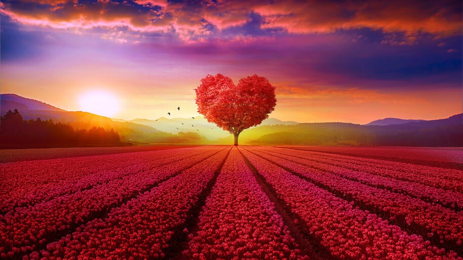 Beautiful, Heart, Tree, Landscape, Scenery, 4K, #6.447