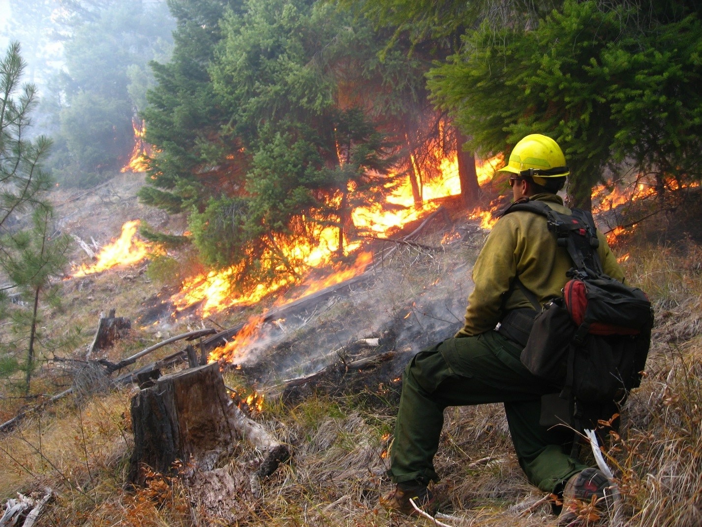 Umatilla National Forest implements prescribed burn on the Pomeroy