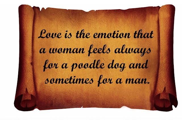 love is Love is quotes with images, love is quotes newspaper, love is quotes and sayings, love is about quotes, love is amazing quotes, love is addiction quotes, love is adorable quotes, love is life quotes and sayings, the love is quotes, love is beautiful quotes, love is beautiful quotes and sayings