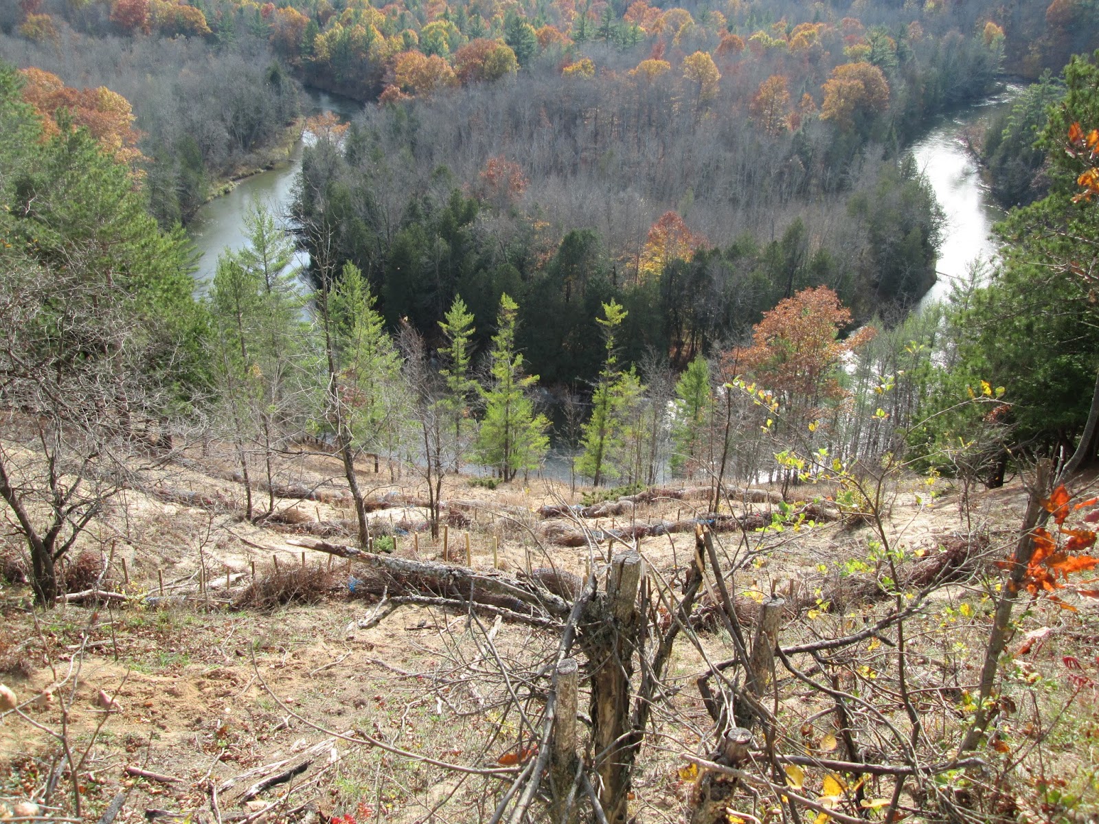 Photodump High Rollaways / The United States of Becky