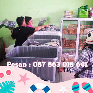 Kue Pie Susu Dhian Bali Murah Kue Pie Susu Dhian Bali Murah
