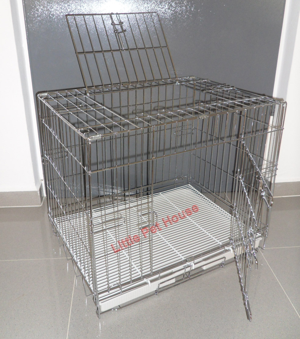 Little Pet House Your Budget Friendly Online Pet Shop in Singapore 2