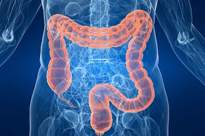 What are Gastrointestinal Diseases?