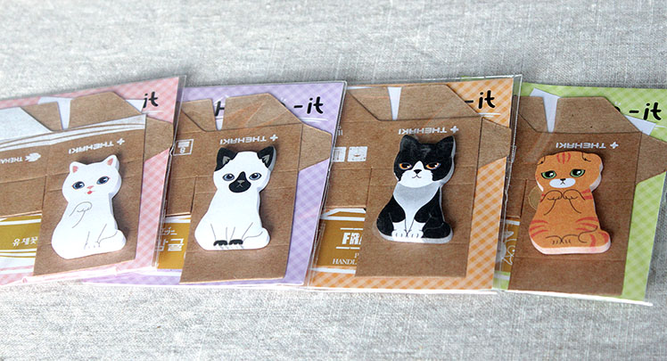 Autuas olo: Annetaan kissa hyvään kotiin