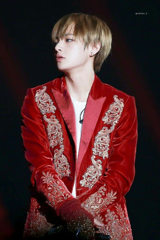 pann.com
