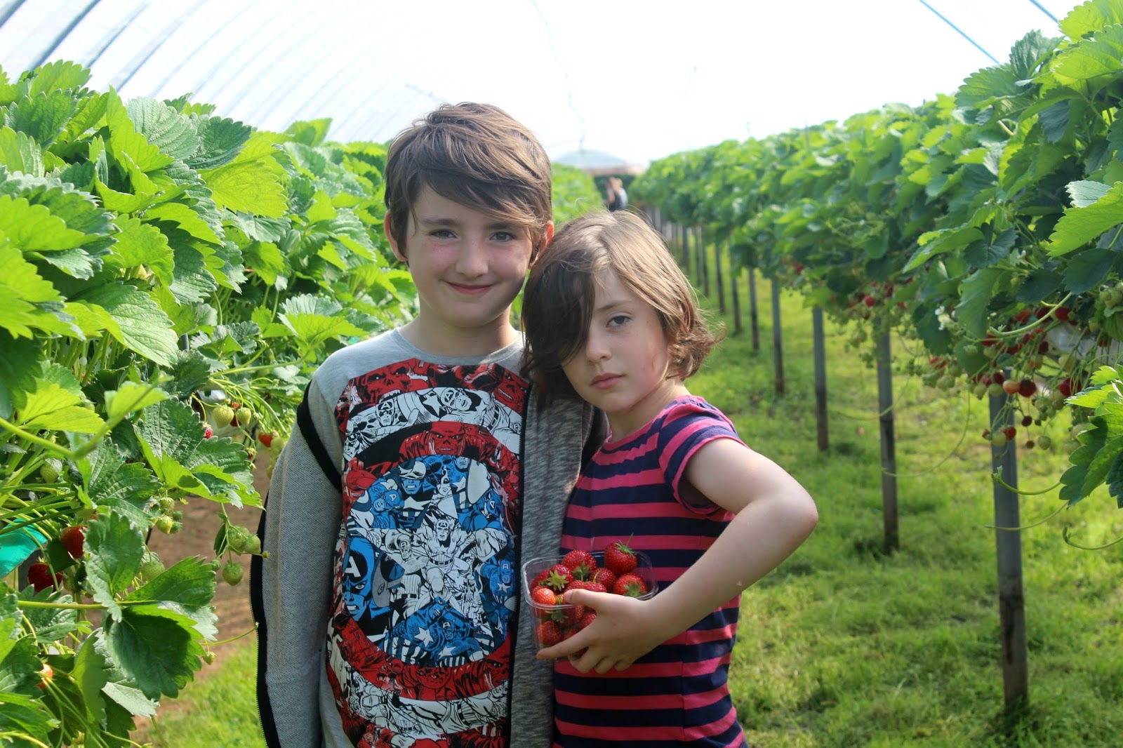 Belhaven Fruit Farm Lets Go Somewhere Nice