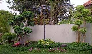 Tukang Taman di Foresta Bsd,Jasa Pembuatan Taman di Foresta Bsd,Tukang Taman Murah dan Profesional di Foresta Bsd Tukang Taman di Foresta Bsd,Jasa Pembuatan Taman di Foresta Bsd,Tukang Taman Murah dan Profesional di Foresta Bsd