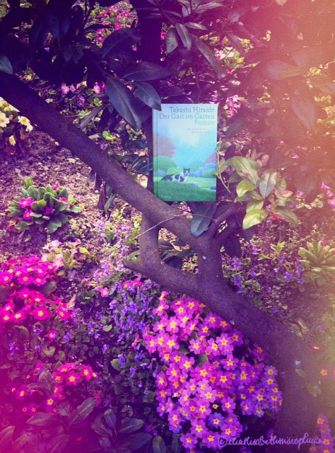 Die Freude auf leisen Pfoten Der Gast im Garten